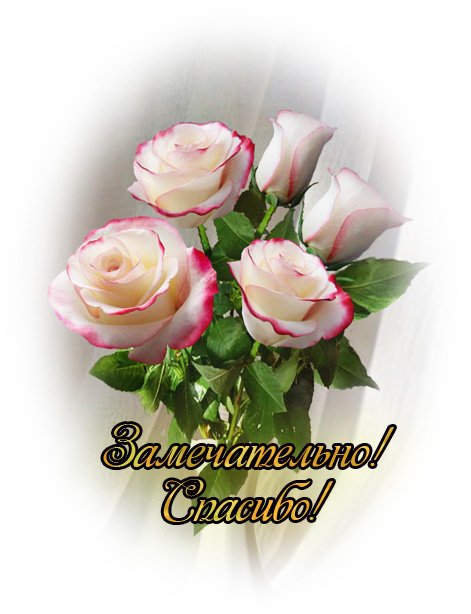 http://img1.liveinternet.ru/images/attach/c/4/79/304/79304979_81008048681542.jpg