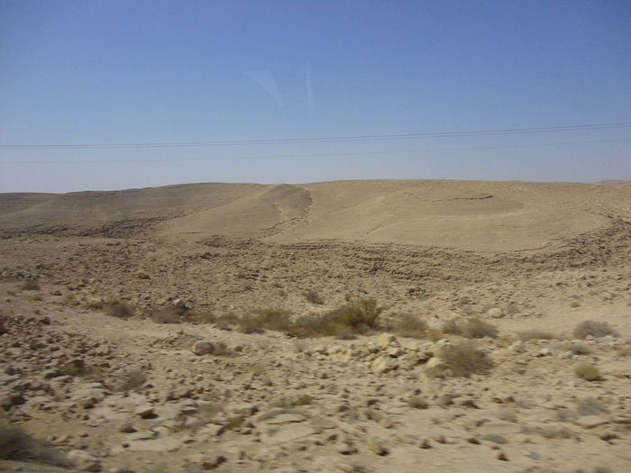 DSC01110 (700x525, 165Kb)