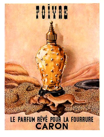 Caron_1957_poivre_furs (364x480, 46Kb)