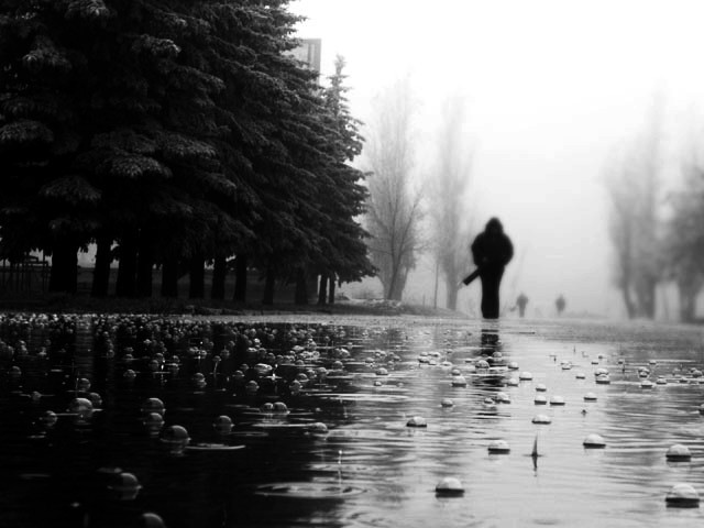 4465300_UntitledGrayscale04 (640x480, 52Kb)