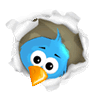 My Twitter:/3996605_PODBIRAEM_CVETA11 (586x552, 353Kb)