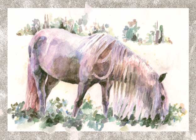 Конь с розовой гривой 6 класс рисунок. Конь с розовой гривой. Розовый конь. Конь с розовой гривой иллюстрации. Розовый конь иллюстрация.