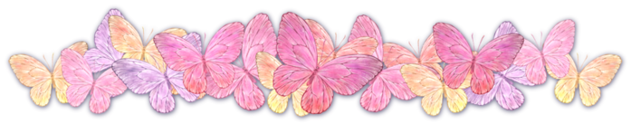 butterfly-860-169 (700x137, 150Kb)
