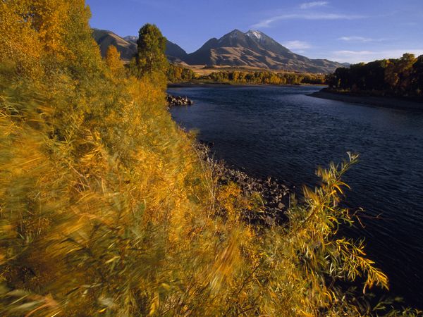 autumn-colors-montana (600x450, 68Kb)