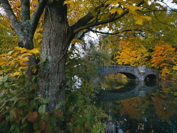 autumn-colors-new-york (600x450, 76Kb)