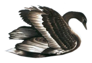 0_72a9b_3880ba0a_L.jpg (364x249, 119Kb)