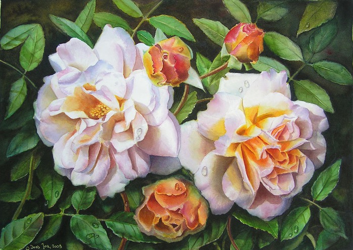 rose-ghislaine-de-feligonde-watercolor (700x495, 127Kb)