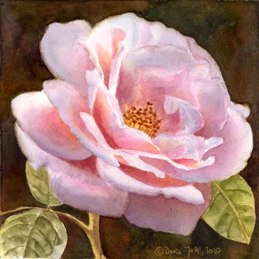 rose-new-dawn-iii-6x6 (510x510, 100Kb)