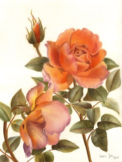 rose-pat-austin (428x567, 79Kb)