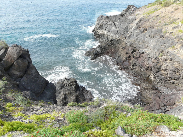 P1030574 (700x525, 207Kb)