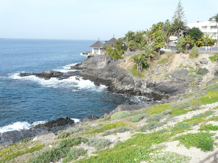 P1030575 (700x525, 192Kb)