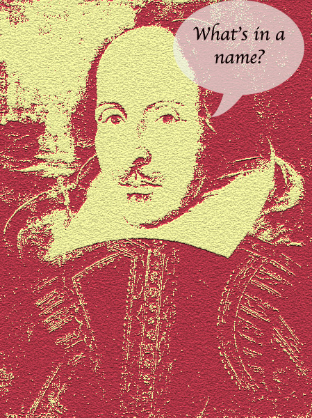 whats-in-a-name (449x600, 311Kb)