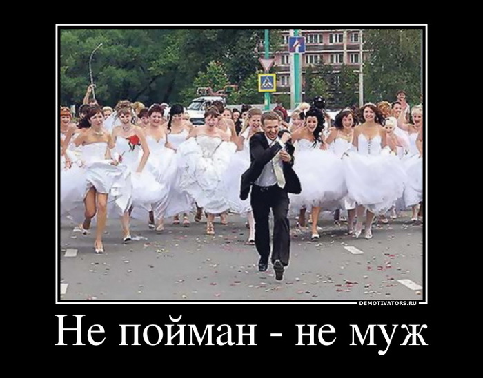 1319743495_demotivator4 (700x549, 99Kb)