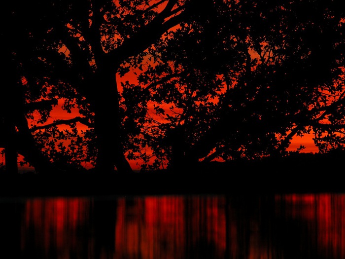 Ognennie-nebesa-2 (700x525, 104Kb)