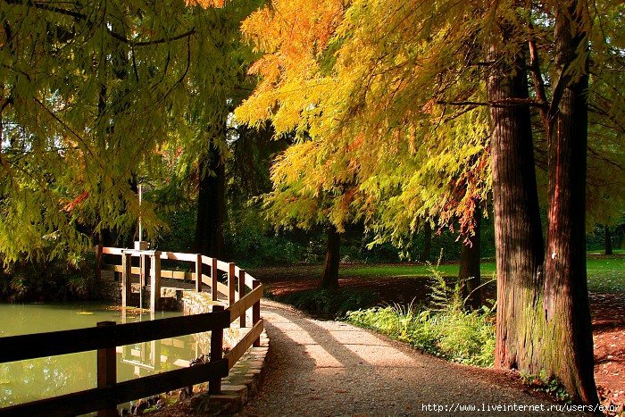 autunno_9338 (700x467, 397Kb)