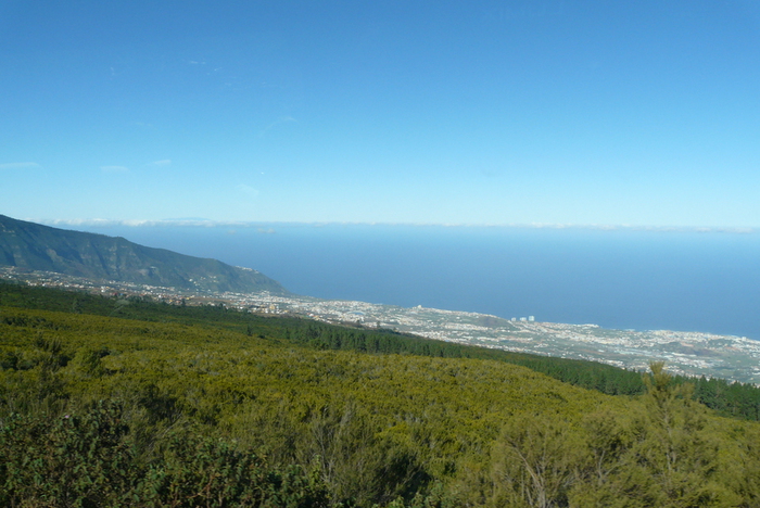 P1030876 (700x468, 251Kb)