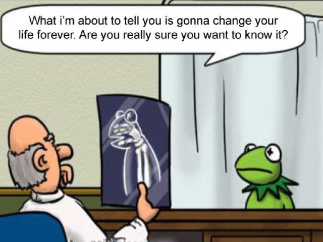 Kermit-X-Ray (640x480, 44Kb)