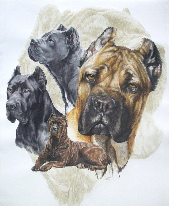 Cane_Corso_wGhost_19x24WC-CP_2009 (571x700, 98Kb)