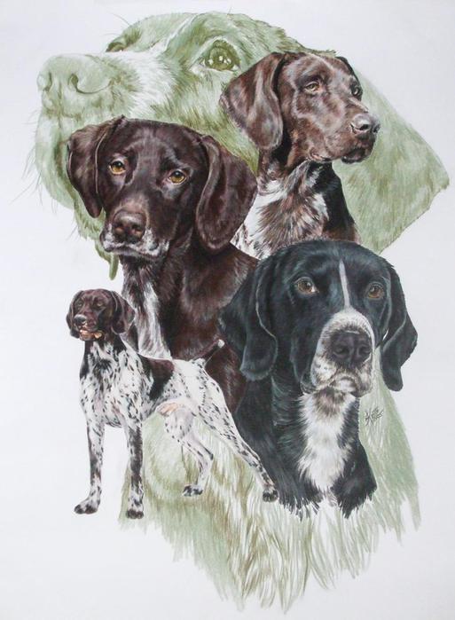 German_SH_Pointer_wGhost_18x24WC-CP_2009 (513x700, 51Kb)