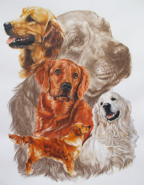 Golden_Retriever_wGhost_19x24_WC-CP_2008 (547x700, 107Kb)