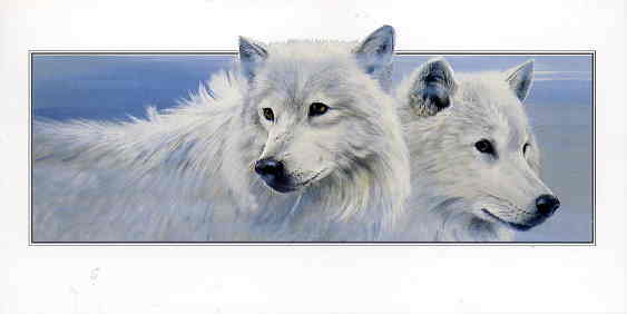 cowolves (563x282, 10Kb)