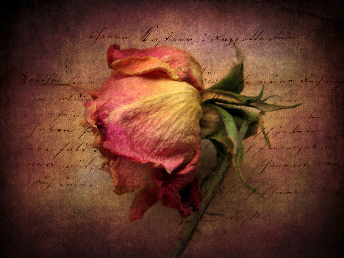 0_c7335_782769a3_orig (700x525, 345Kb)