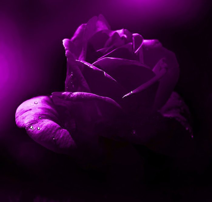 de6745d9dff8 (700x666, 31Kb)