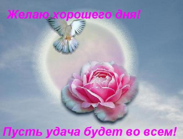 http://img1.liveinternet.ru/images/attach/c/4/79/697/79697873_4a24362b272f.jpg