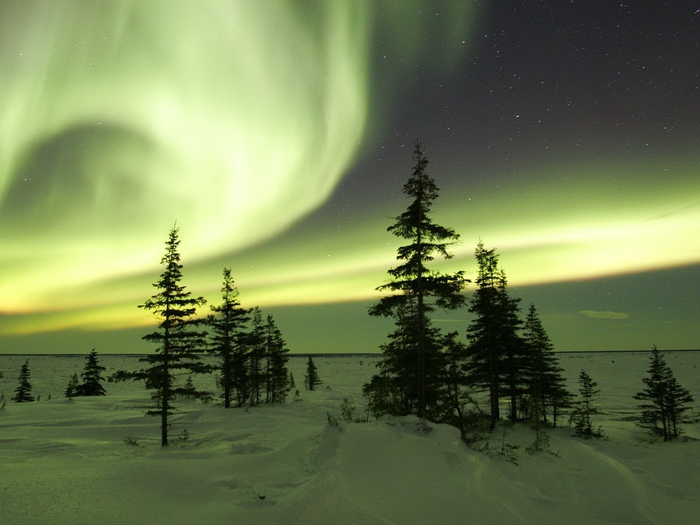 Image_0437.Manitoba.Churchill.The_Northern_Lights_in_Winter (700x525, 244Kb)