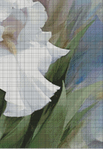     IL-013       White Irise Elegance I (484x700, 336Kb)