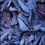 4645280_5 (150x150, 7Kb)