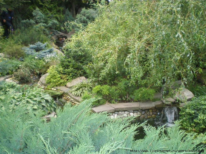 P8290388 (700x525, 281Kb)