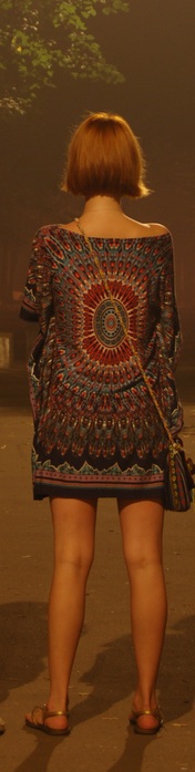 DSC_0060 (176x700, 39Kb)