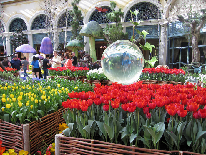 All sizes  Spring at the Bellagio  Flickr - Photo Sharing! (700x526, 1015Kb)