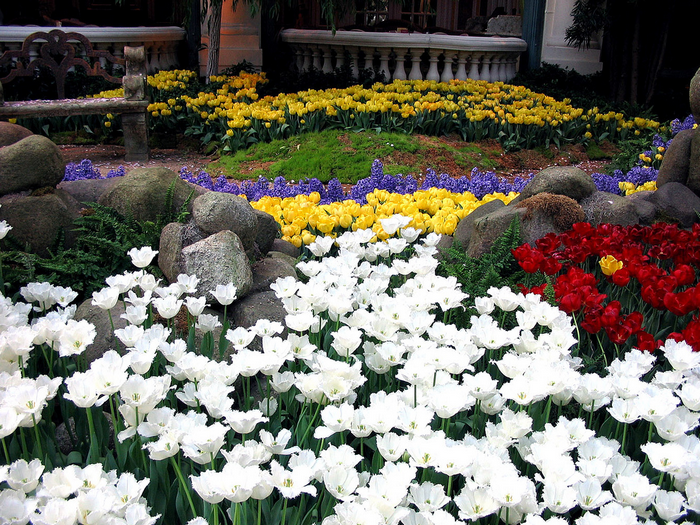 All sizes  Bellagio Garden  Flickr - Photo Sharing! (700x525, 916Kb)