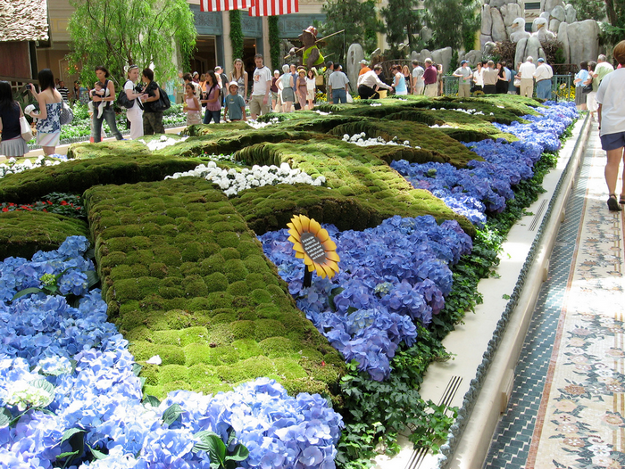 All sizes  Bellagio Botanical Gardens  Flickr - Photo Sharing! (700x526, 1044Kb)