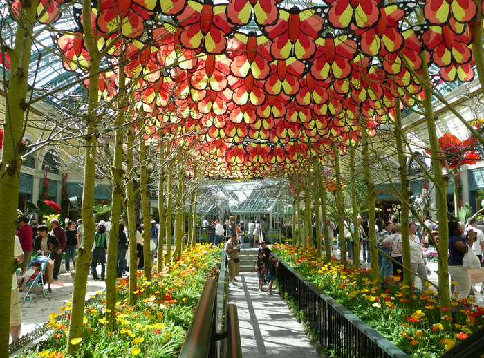 All sizes  Bellagio Botanical Gardens  Flickr - Photo Sharing! (700x518, 1030Kb)