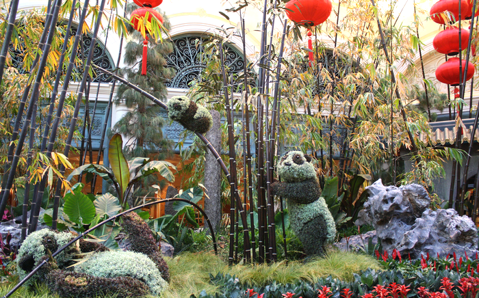 All sizes  Pandas in the Bellagio Gardens view3  Flickr - Photo Sharing! (700x436, 836Kb)