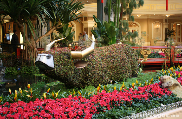 All sizes  Bellagio Gardens Buffalo  Flickr - Photo Sharing! (700x459, 897Kb)