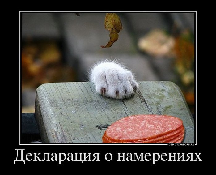 419839_deklaratsiya-o-namereniyah (700x566, 61Kb)