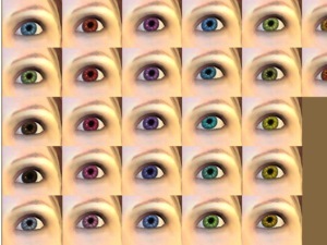    (300x225, 27Kb)