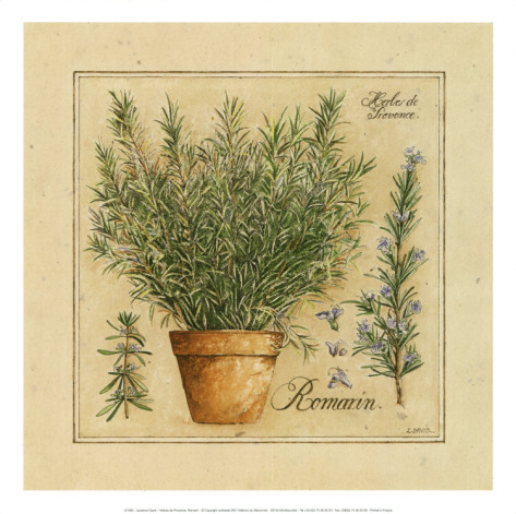 pascal-cessou-herbes-de-provence-romarin (473x471, 74Kb)