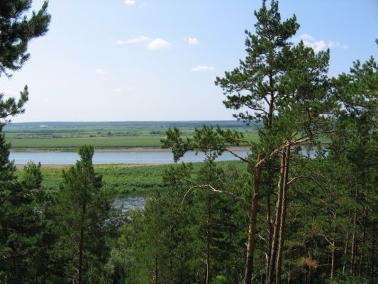 tmsk2 (533x400, 46Kb)