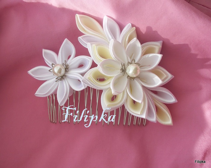 100_4596 (700x557, 106Kb)