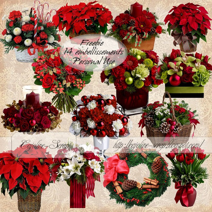 3291761_01MiniKit_Christmas_Flowers_Rojdestvenskie_cveti (700x700, 239Kb)