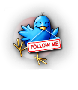 3996605__twitter (260x300, 91Kb)