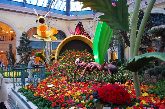 79800772_All_sizes__Las_Vegas__Bellagio_Hotel_Garden__Flickr__Photo_Sharing (700x463, 889Kb)