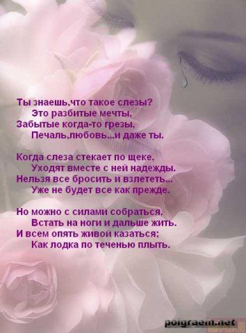 56194497_stihi_i_rozuy (354x480, 29Kb)