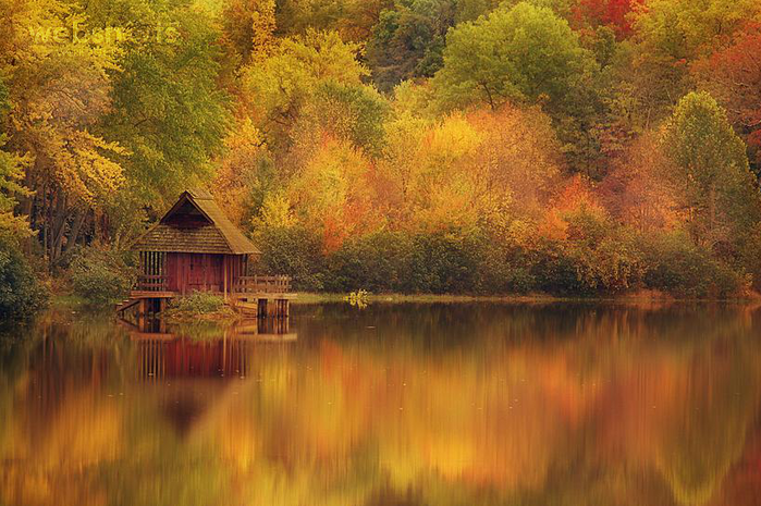 Proshots - Cabin Retreat in Autumn - Professional Photos (700x465, 596Kb)