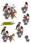  monica-birds-2 (494x700, 84Kb)